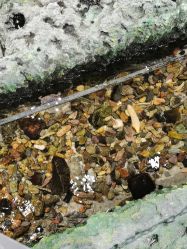 -钓虾工场·钓虾·赶海(回龙观店)