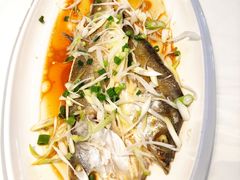 -东夷海鲜巨无霸(东夷小镇店)