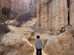 -元谋土林景区(物茂土林)