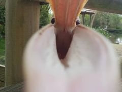 -麦雪尔甜品·生日蛋糕(新街口旗舰店)