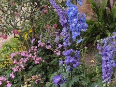 -人民公园(罗湖区)