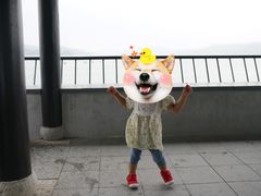 -天目湖山水园