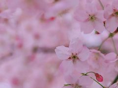 -通略驾校(新村路店)