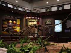 -自贡恐龙博物馆