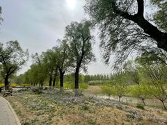 -东郊湿地公园