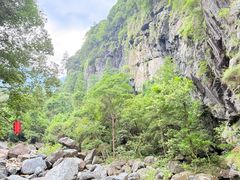 -石台牯牛降景区