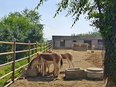-青藏高原野生动物园