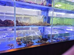 -隆聚时令海鲜(一舟店)