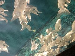 -西安曲江海洋极地公园
