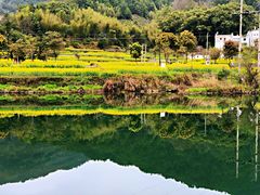 -上坦村
