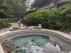 -中家鑫园温泉酒店鑫悦汤泉