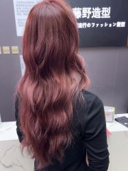 -藤野造型烫染