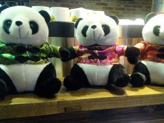 android_upload_pic-栖巢咖啡(天鹅湖万达低碳店)