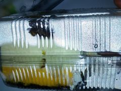 -苹果花园(昌里东路店)