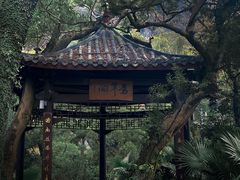 -融水老君洞景区