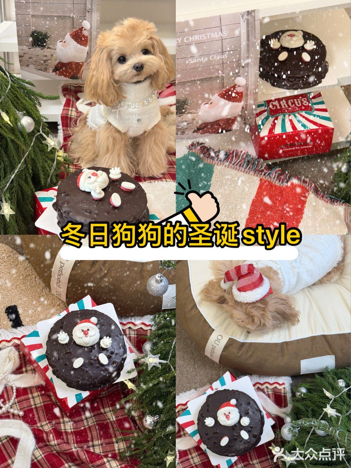 冬日狗狗的圣诞style