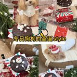 冬日狗狗的圣诞style
