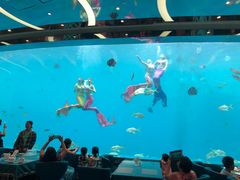 -瑞德姆美人鱼海底演艺主题餐厅(亚龙湾店)