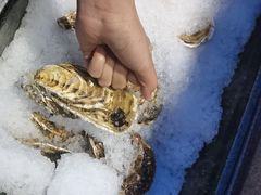 -顺轩海鲜火锅酒家