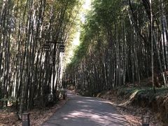 -苏州环秀晓筑养生度假村