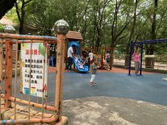 -晓港公园