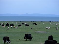 -青海湖国家重点风景名胜区