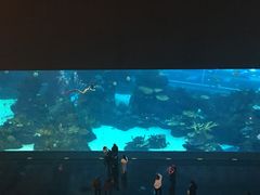 -成都浩海立方海洋公园