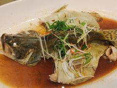 -龙的酒楼·手工早茶·顺德菜(近良路店)