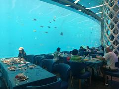 -瑞德姆美人鱼海底演艺主题餐厅(亚龙湾店)