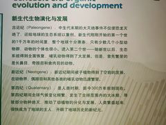 -中国第四纪冰川遗迹陈列馆