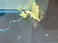 -天宠宠物医院24小时·急重症诊疗中心·全科·腔镜特色(和平分院)