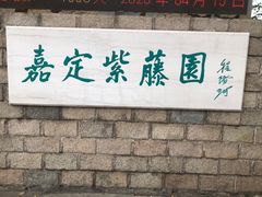 -嘉定紫藤园