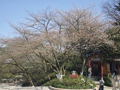 -杭州少年儿童公园