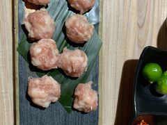 手打猪肉丸-探窝·竹笙椰子鸡(杨箕店)