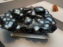 -湖南省地质博物馆