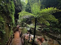 -赤水丹霞旅游区·佛光岩