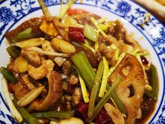 -杨氏青龙虾·羊蝎子(托乐嘉店)