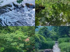 -中国茶叶博物馆(双峰馆区)