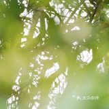 南山南，看妈湾