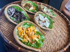 -滇野云南野生菌餐厅(陕西南路店)