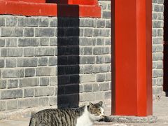 -沈阳市东陵公园