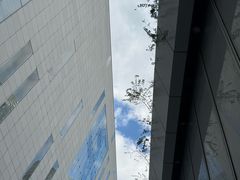 -真北路(地铁站)