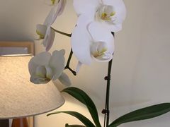 -本無咖啡·BeanWood Coffee