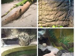 -上海大自然野生昆虫馆