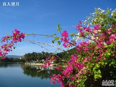 -三亚亚龙湾凯莱仙人掌度假酒店