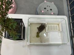 -喵宠乐园·撸猫互动·猫舍