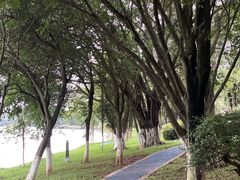 -番禺大夫山森林公园