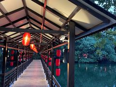 -侨美·唐荔园·40年地道粤菜