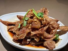 -蒙古苍狼蒙餐