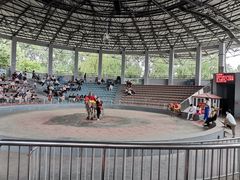 -石家庄市动物园